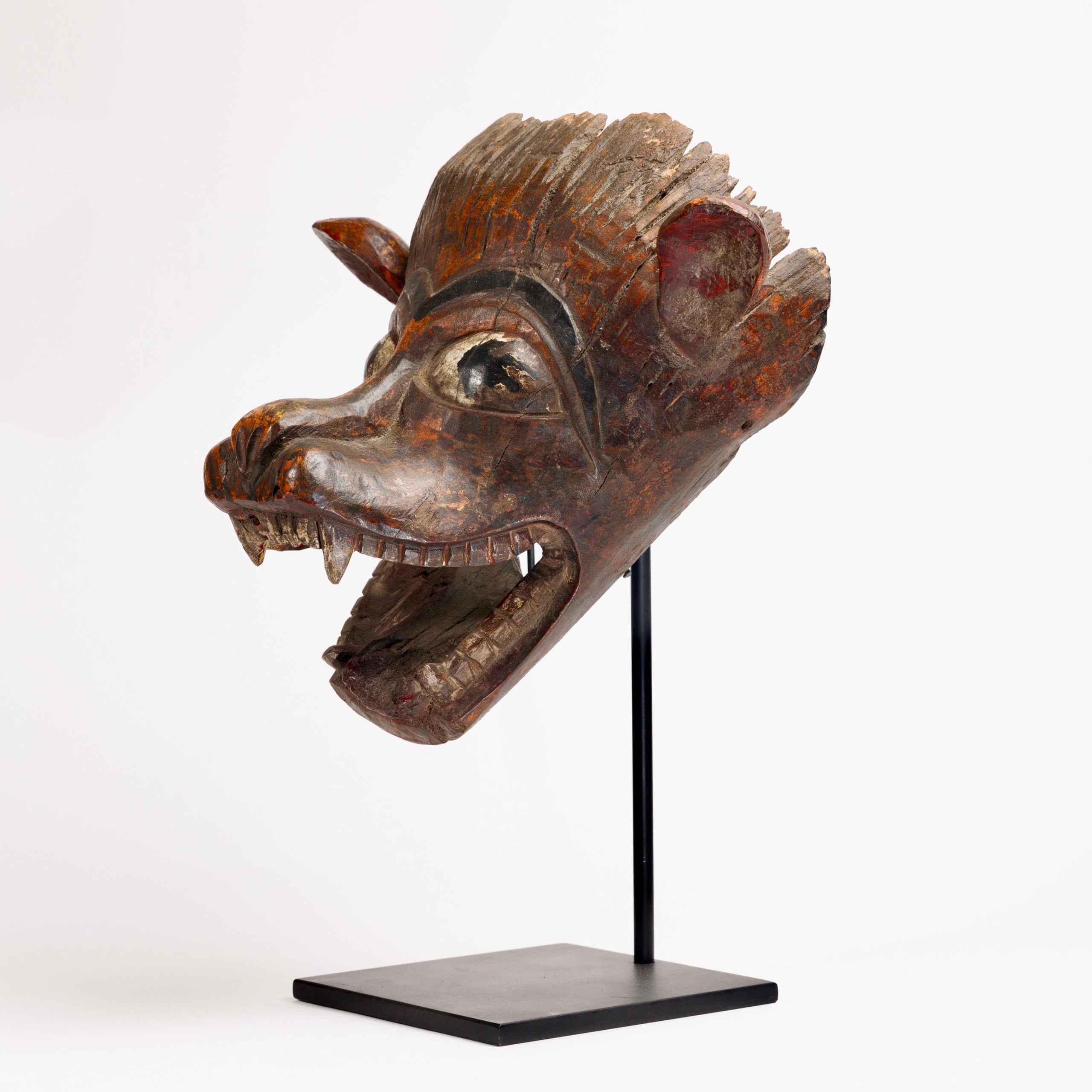binnenkomst Middelen Nageslacht From the Terai rerion of Southern Nepal a remarkable wolf mask